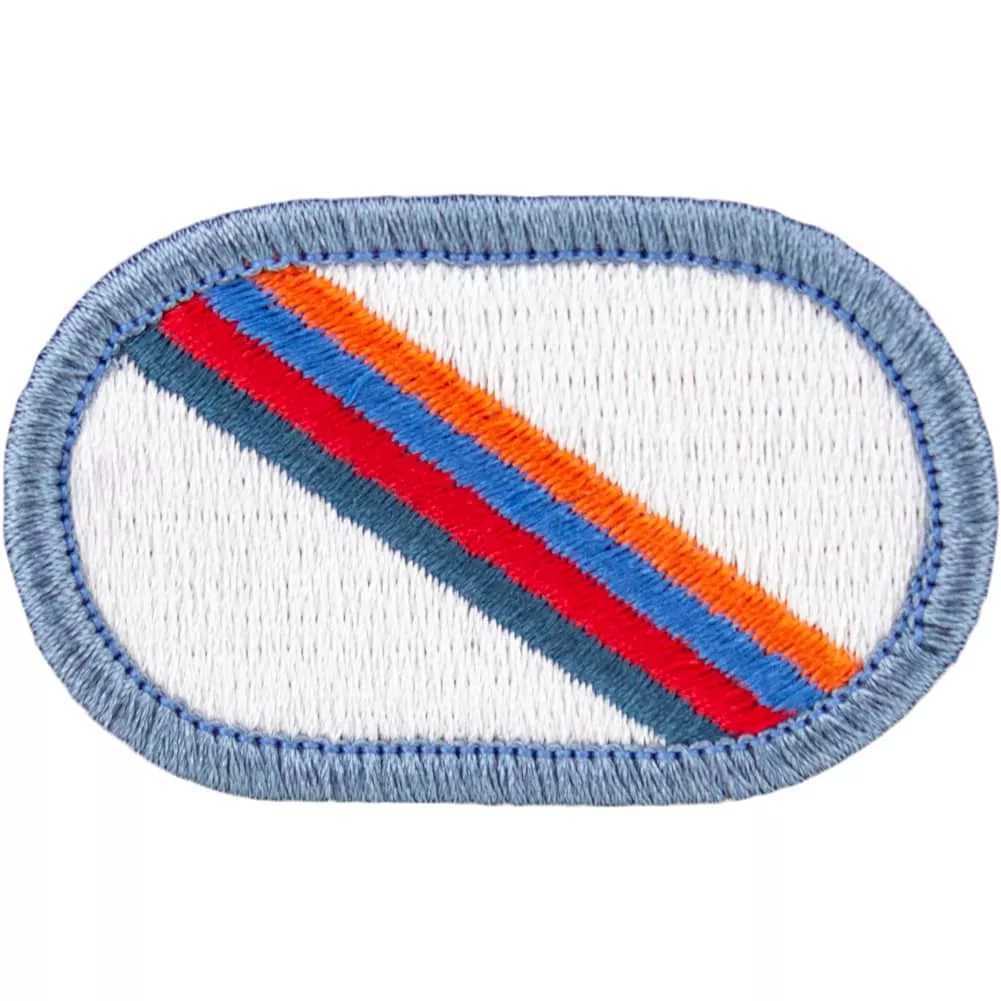 101st Airborne Division 3rd Brigade Special Troops Battalion Oval