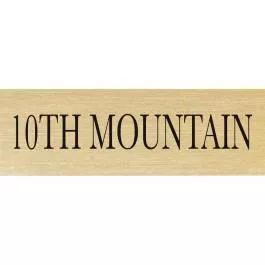 10th Mountain Division Patch ID Plate